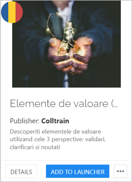 Elements of value (A) - Colltrain Library - Activity Description - ro
